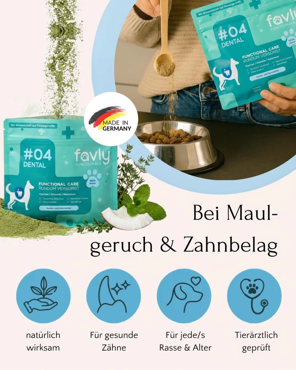 FAVLY – Polvo dental para perros 250 g – Complemento alimenticio en polvo dental para perros contra el mal olor y la placa dental – con Clorella orgánica y perejil – sin cereales ni aditivos