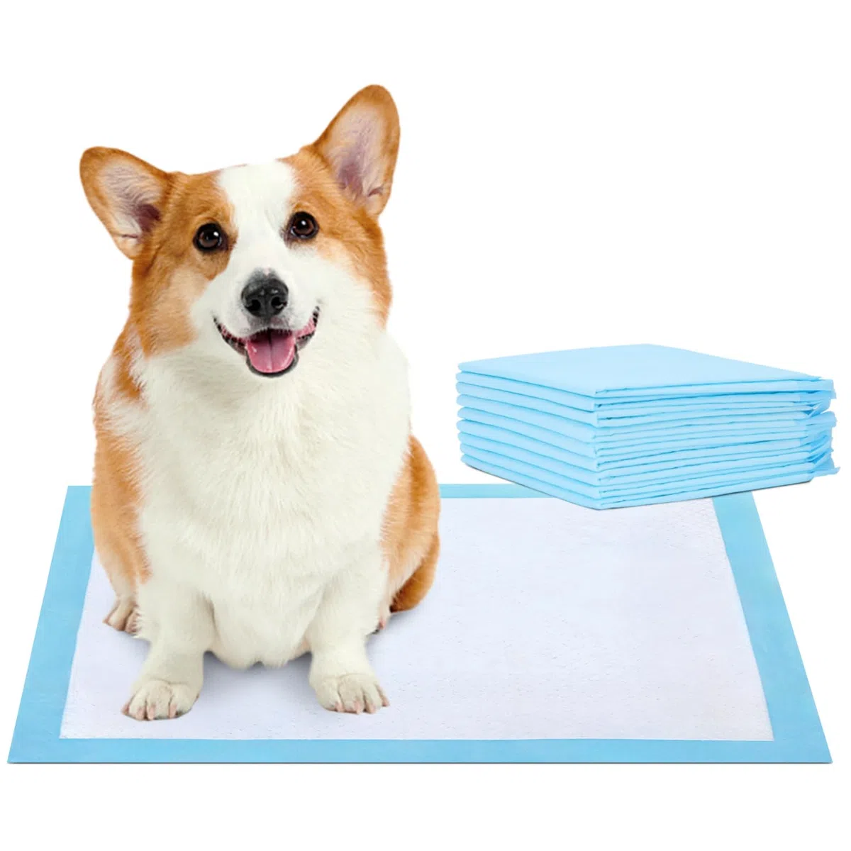 Nobleza 360pz Empapadores Perros, Alfombrillas Higiénica Desechables para Mascotas, Pads para Perros súper absorbentes, Toallitas de Entrenamiento para Mascotas, 40 x 60 cm