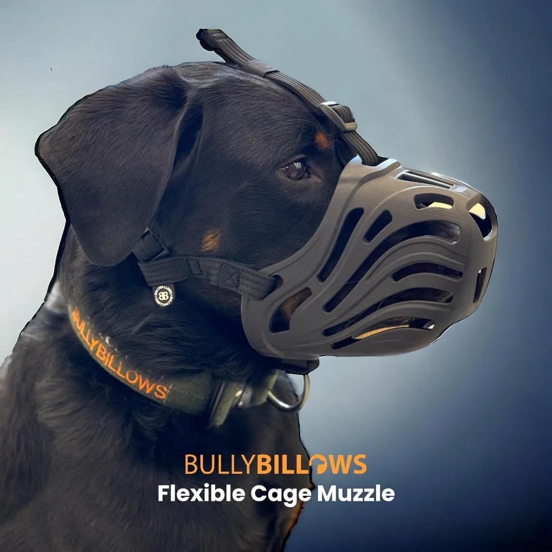BullyBillows Bozal de perro | Bozal de seguridad flexible para perros para evitar mordeduras y carroñeros, cómodo material TPE, correa ajustable, diseño transpirable para perros pequeños a grandes