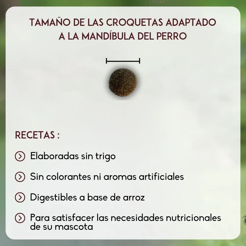 NUTRIVET - Super Premium - Senior - Croquetas sin Trigo - Perro - Rico en proteína Animal - 15 kg