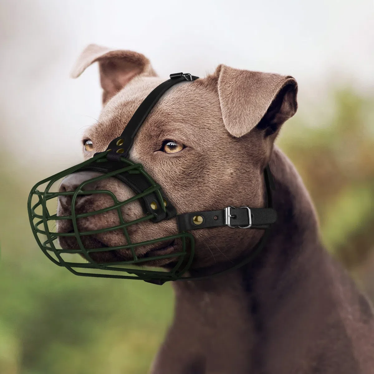 Pitbull - Bozal para perro, máscara de metal, cesta de alambre segura, correas de cuero ajustables y duraderas para perros grandes (verde)