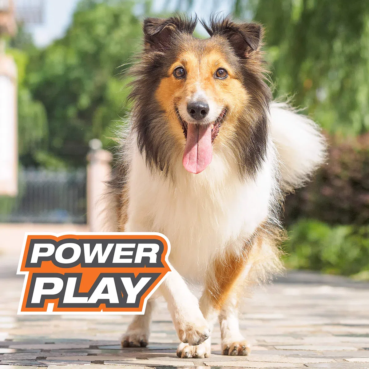 Nylabone Power Play - Pelota de tenis para perro, 3 unidades, tamaño mediano, 6,3 cm