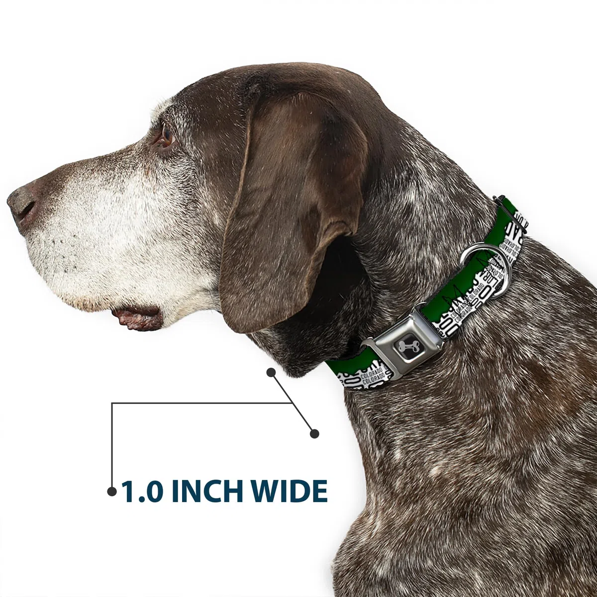 Buckle-Down DC-W35515-WS - Cinturón de Seguridad para Perro, Talla S, Color Verde, Blanco y Negro