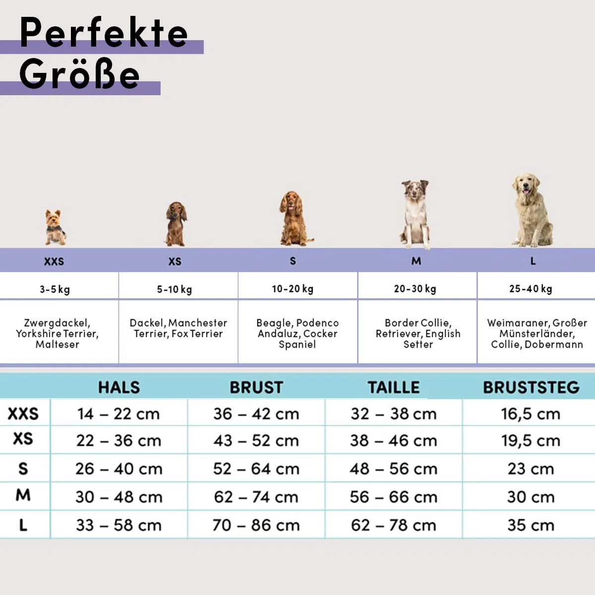 STUCH Arnés para perros, Pechera para perro – Arnés ajustable de nailon – acolchado – para perros pequeños, medianos y grandes (lima, S)