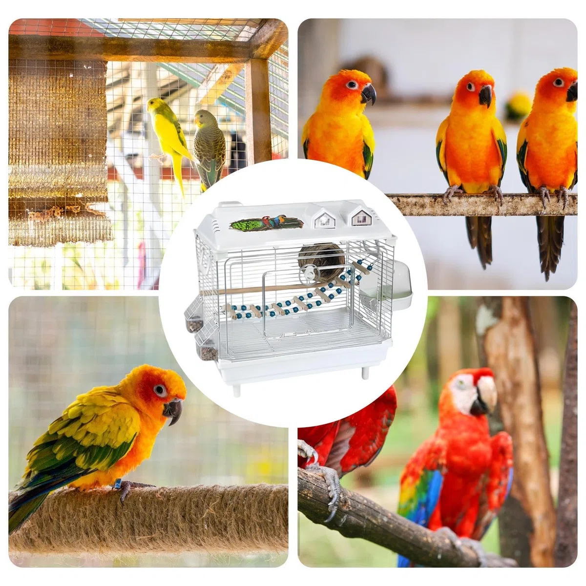 Jaulas para Pájaros y Aves de Compañía Transportín Transparente Portátil | Jaulas Para Pájaros Con Percha De Madera Para Periquitos Para Guacamayos, Conuros, Cacatúas, Pinzones Y Aga