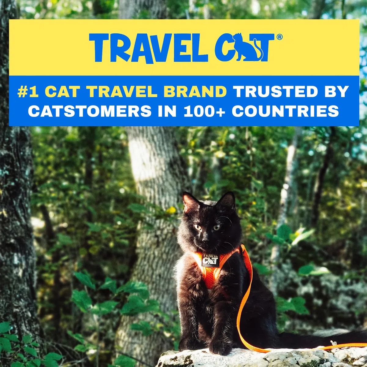Travel Cat: The True Adventurer - Juego de arnés y correa reflectante para gatos y gatitos para caminar, ligero, transpirable, ajuste cómodo, correa fuerte con clip resistente a presión