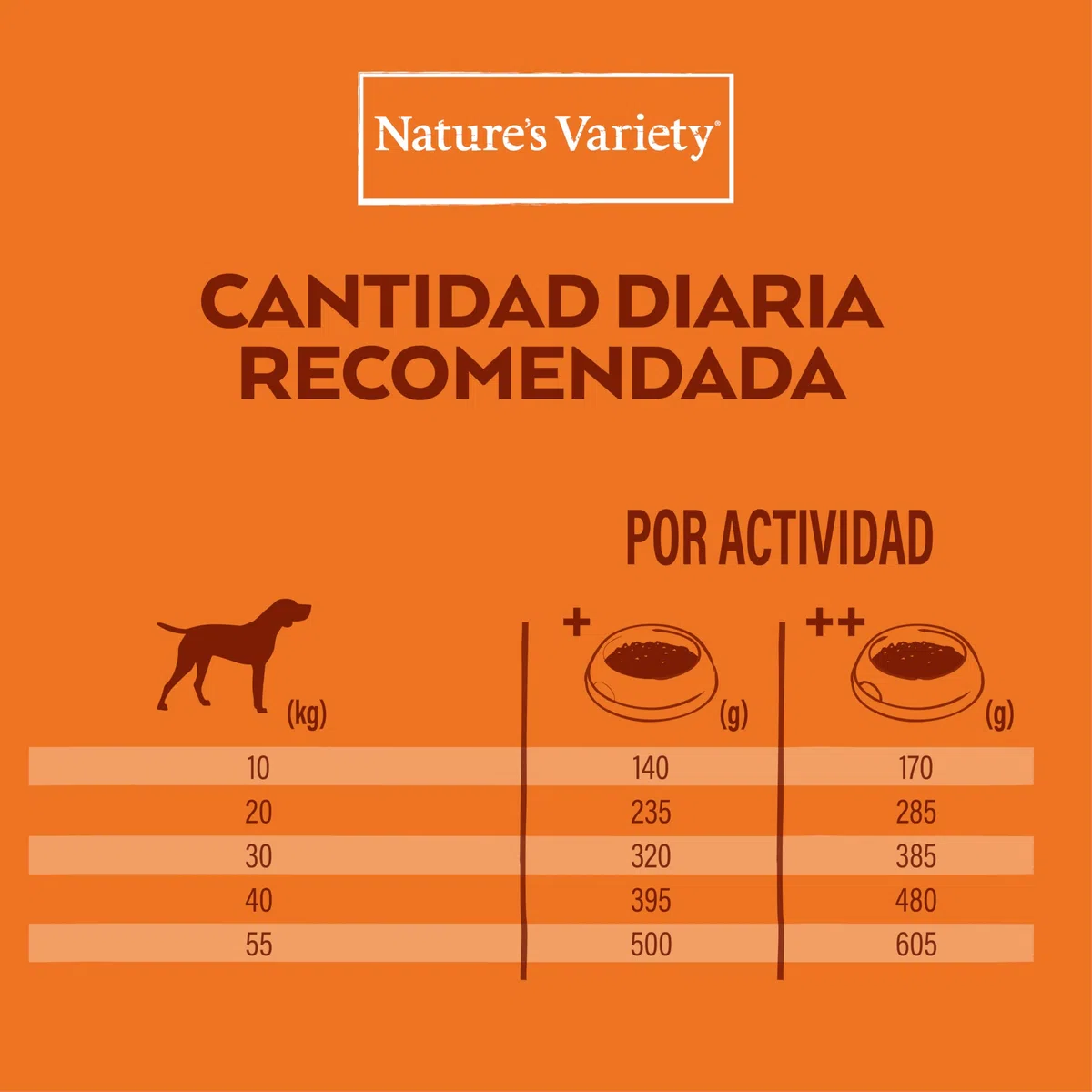 Nature's Variety Healthy Grains Pienso para Perros Medianos y Grandes, Pavo Deshuesado, Arroz Integral, Avena y Guisantes, 12kg