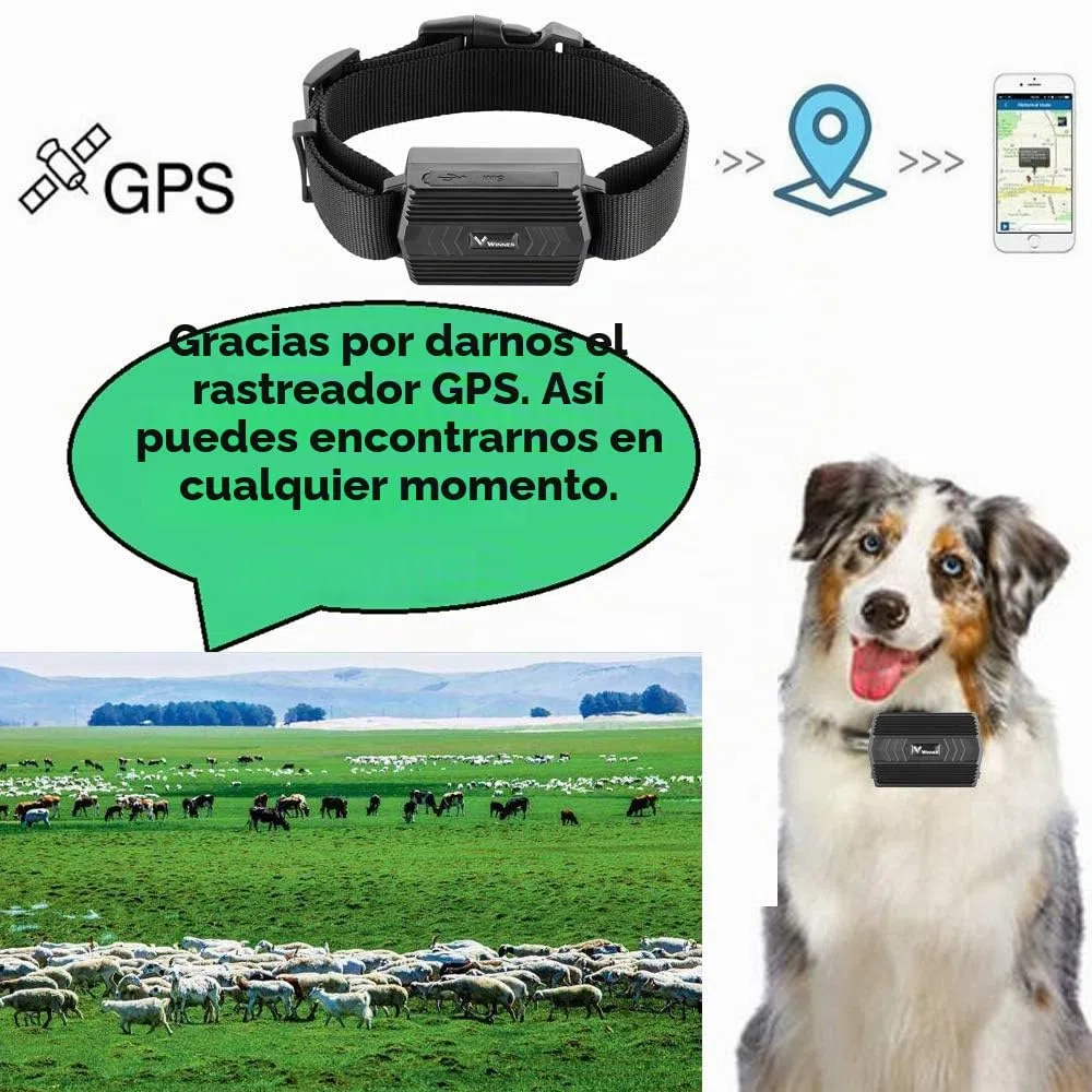 Localizador GPS para Ganado y Perros Grandes, Rastreador GPS Inteligente Sin Suscripción, Valla Electrónica, Resistente al Agua y Batería de Larga Duración