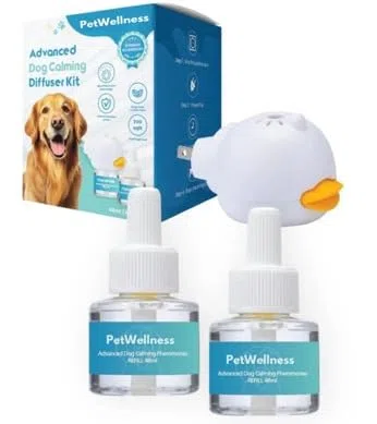 Juego de perros