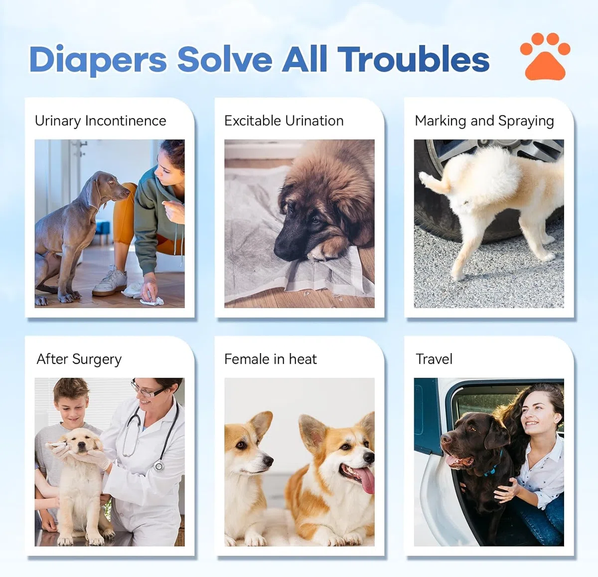 Pañales desechables para perros, pañales absorbentes y suaves para perritos, para perras, con pañales ajustables para cachorros en el período de celo, micción excitable (M 10)