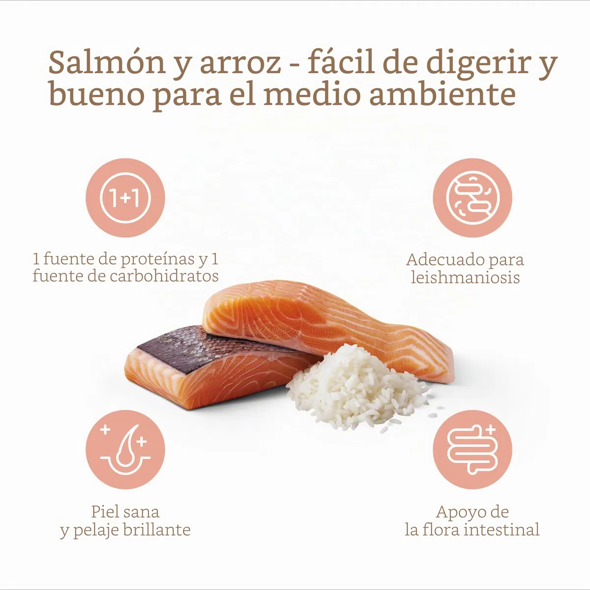 MERA pure sensitive salmon & rice, alimento seco para perros sensibles, alimento seco a base de salmón y arroz, alimento para perros adultos, sin trigo ni azúcar (12,5 kg), 1 pieza