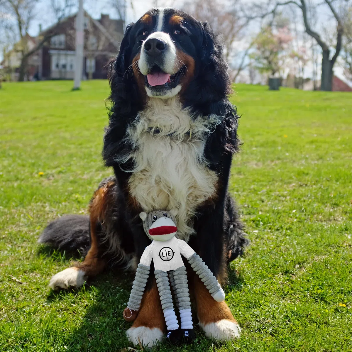 Little Earth Productions Littlearth Cleveland Browns NCAA Sock Monkey - Juguete para Mascotas