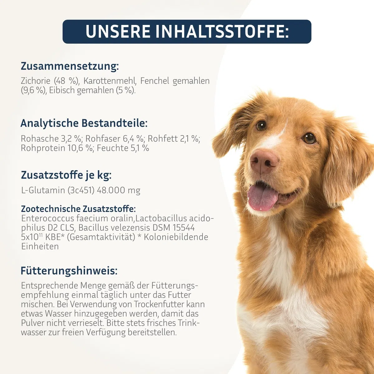 PetFokus Complejo intestinal para perros - Apoyo a la digestión, antiinflamatorio, salud articular y control de peso, complementario a la alimentación húmeda, seca o cruda - producido en Alemania