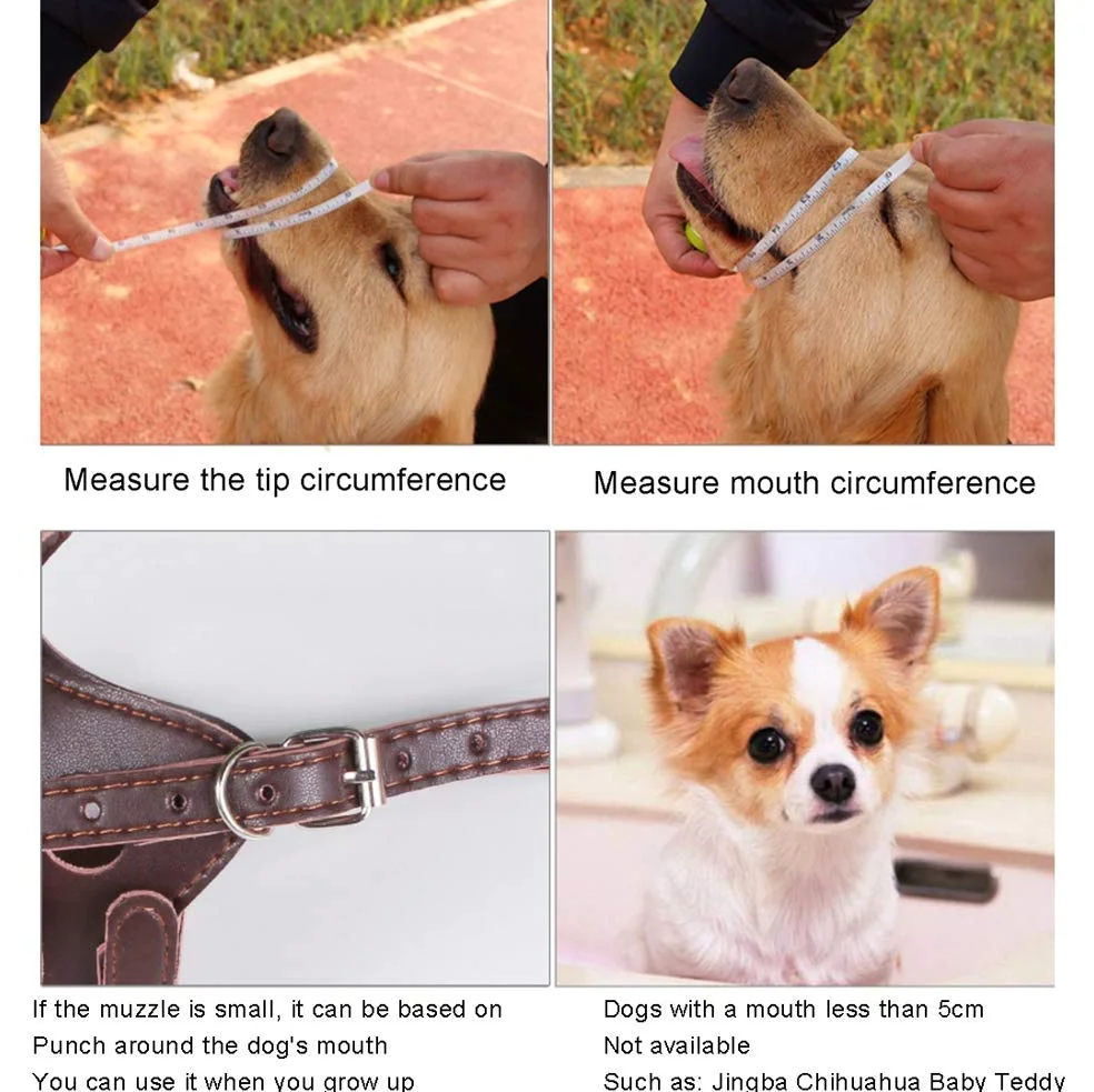 Bozal para Perros, bozal de Cuero para Perros, bozal de Entrenamiento Ajustable para Mascotas para Control de ladridos, prevención de mordeduras y prevención de masticaciones
