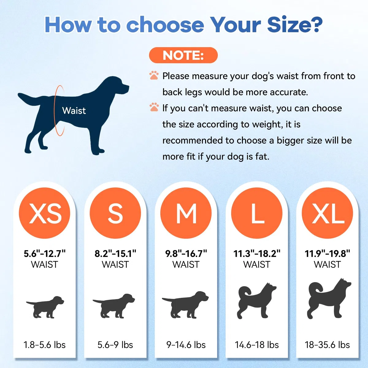 Pañales desechables para perros, pañales absorbentes y suaves para perritos, para perras, con pañales ajustables para cachorros en el período de celo, micción excitable (M 10)