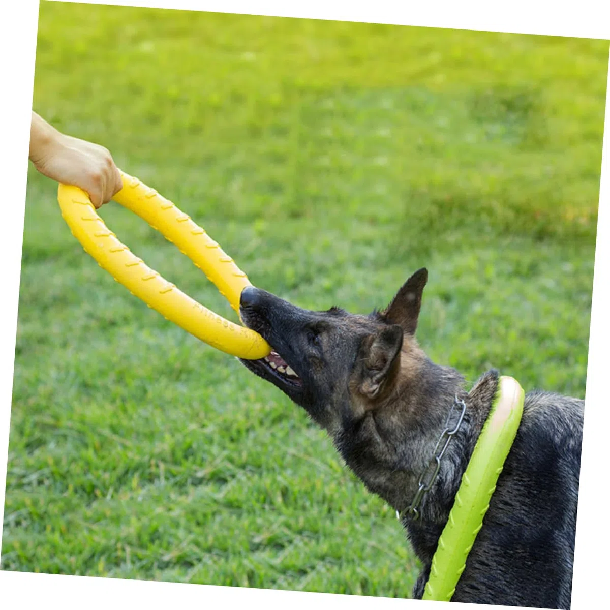 Housoutil 2 Juguetes para La Dentición De Perros Juguetes para Exteriores para Perros Juguetes para Mascotas Juguetes Masticables De Eva para