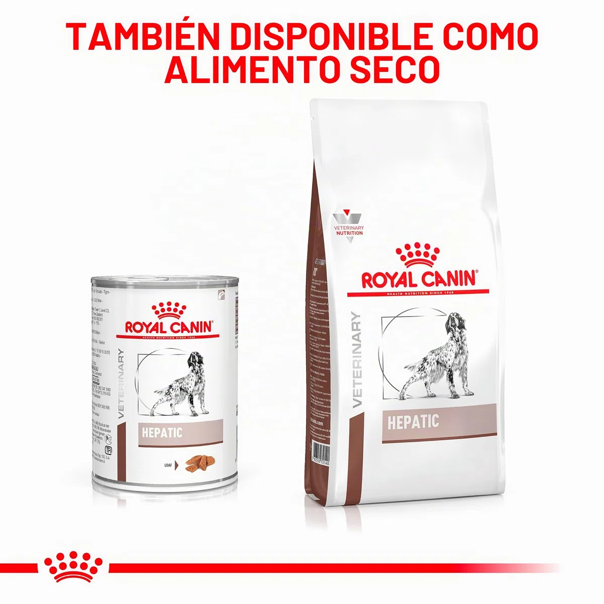 Royal Canin Veterinary Hepatic Mousse | 12 x 420 g | Alimento Completo para Perros Adultos | Puede Ayudar a Mantener la función hepática en Caso de insuficiencia hepática.