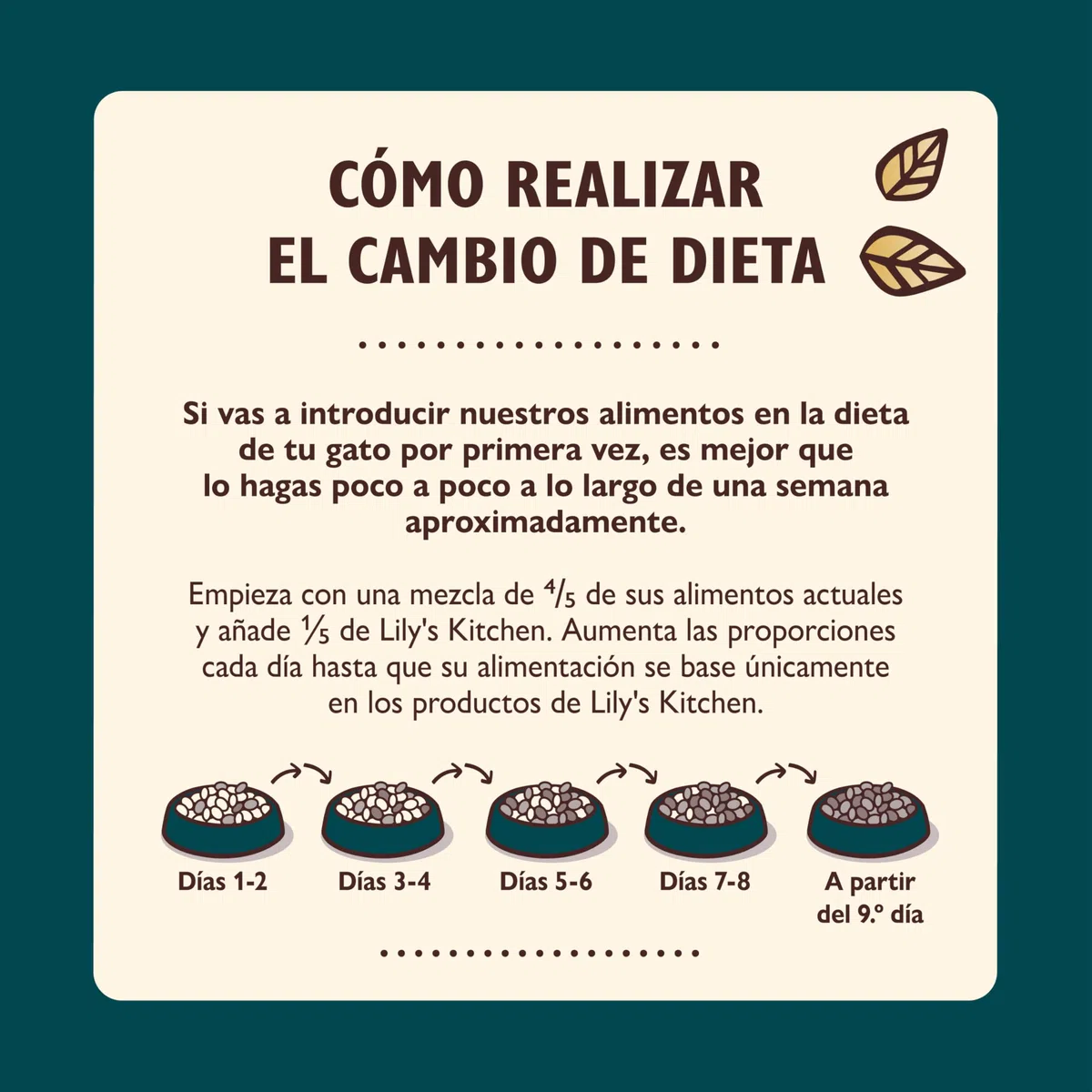 Lily’s Kitchen Filetes de Pollo con Mejillones para Gatos Adultos – Comida Húmeda Natural en Caldo, Sin Cereales (Pack 24 x 70 g)