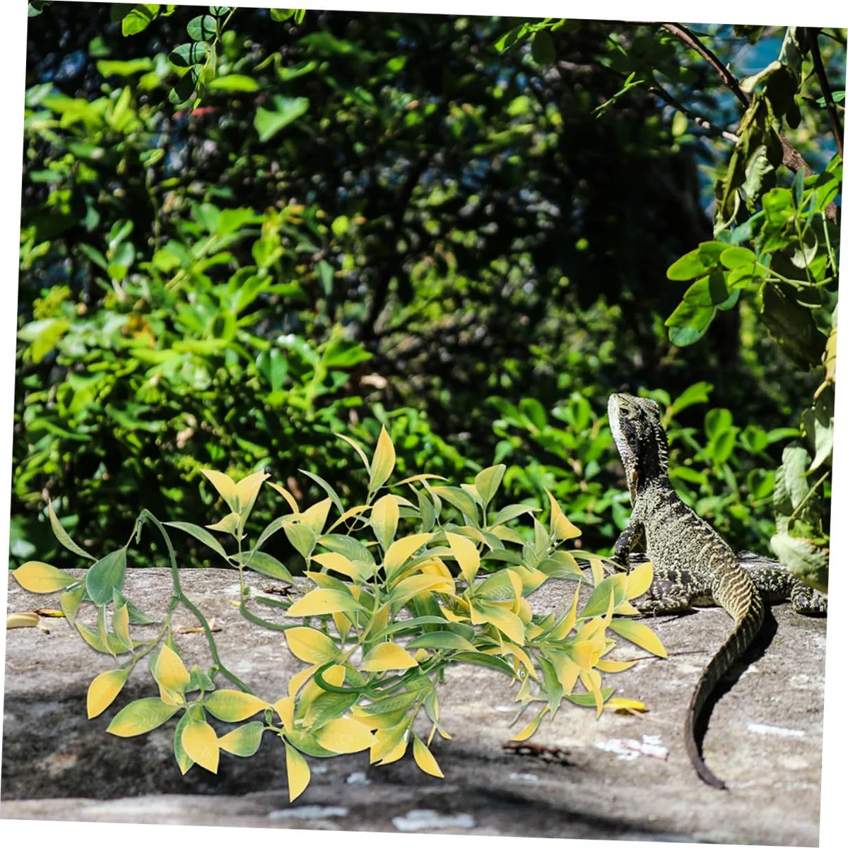 Hemobllo 6piezas Decoración de Plantas de Reptiles para Terrarios Enredaderas Colgantes Artificiales de Plástico para Decorar Terrarios de Serpientes