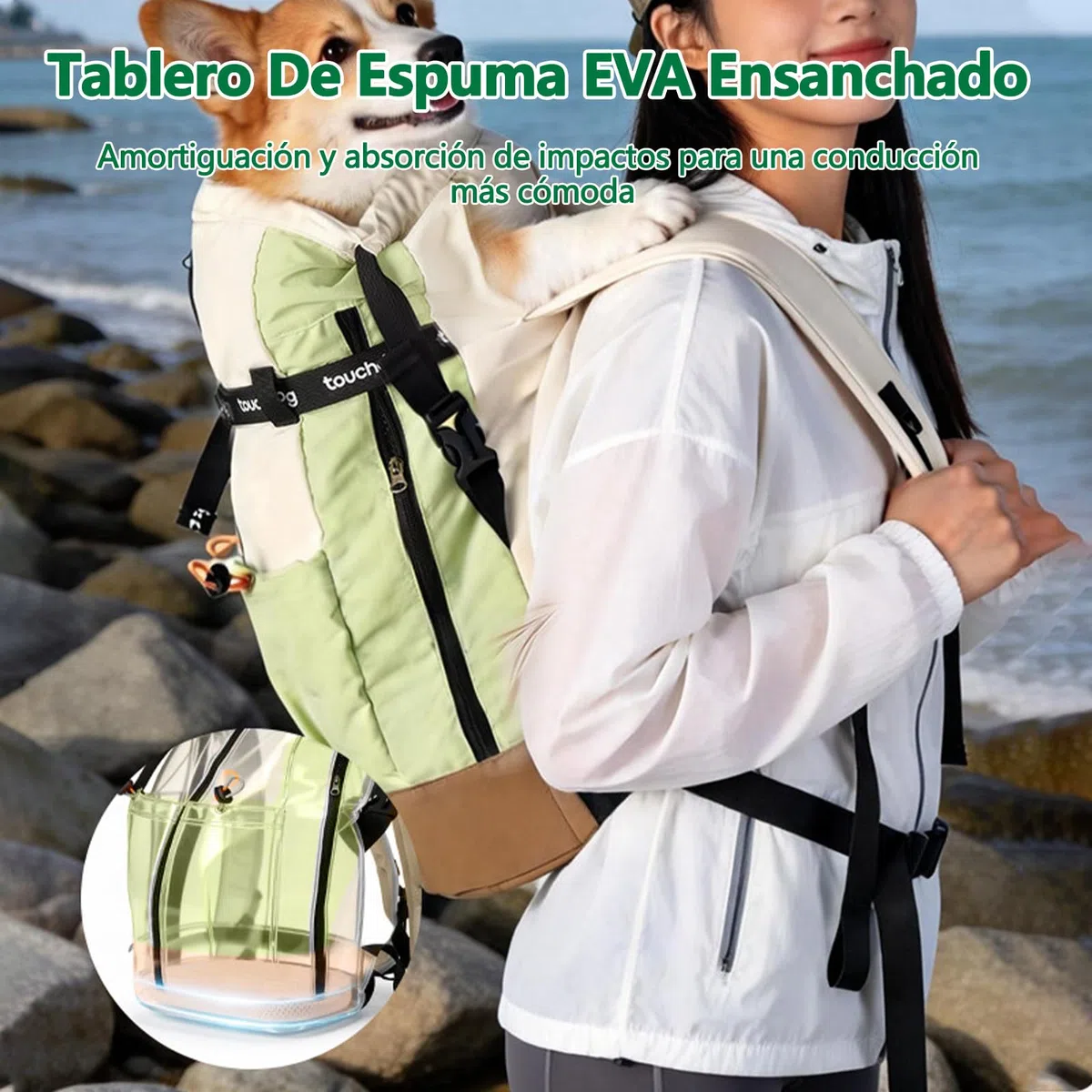Galatée Bolsa De Viaje para Mascotas, Mochila Impermeable y Transpirable para Mascotas, Bolsa Portátil con Almohadilla Inferior Amortiguadora y Diseño a Prueba De Fugas（Morado）