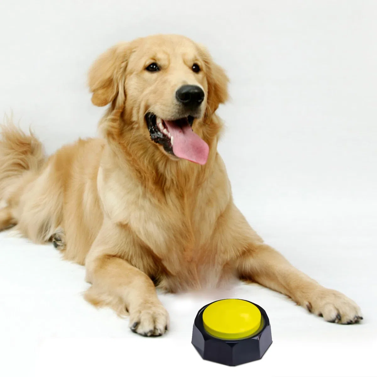 Juego de 6 Botones de Comunicación para Perros Y Gatos, Respuesta de Entrenamiento de Perros, Botones Parlantes para Perros con Alfombrilla Antideslizante Impermeable para Perros, Mascotas,(#1)