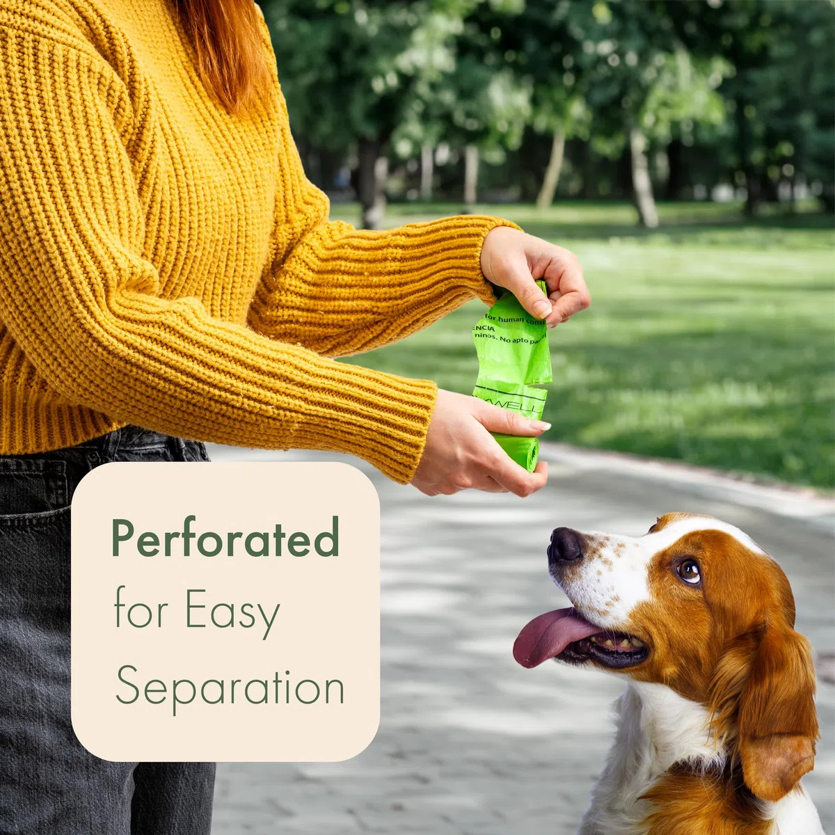 Carrywell Bolsas para excrementos de perro, 300 unidades, a prueba de fugas y extra gruesas, rollos de repuesto para perros, sin perfume