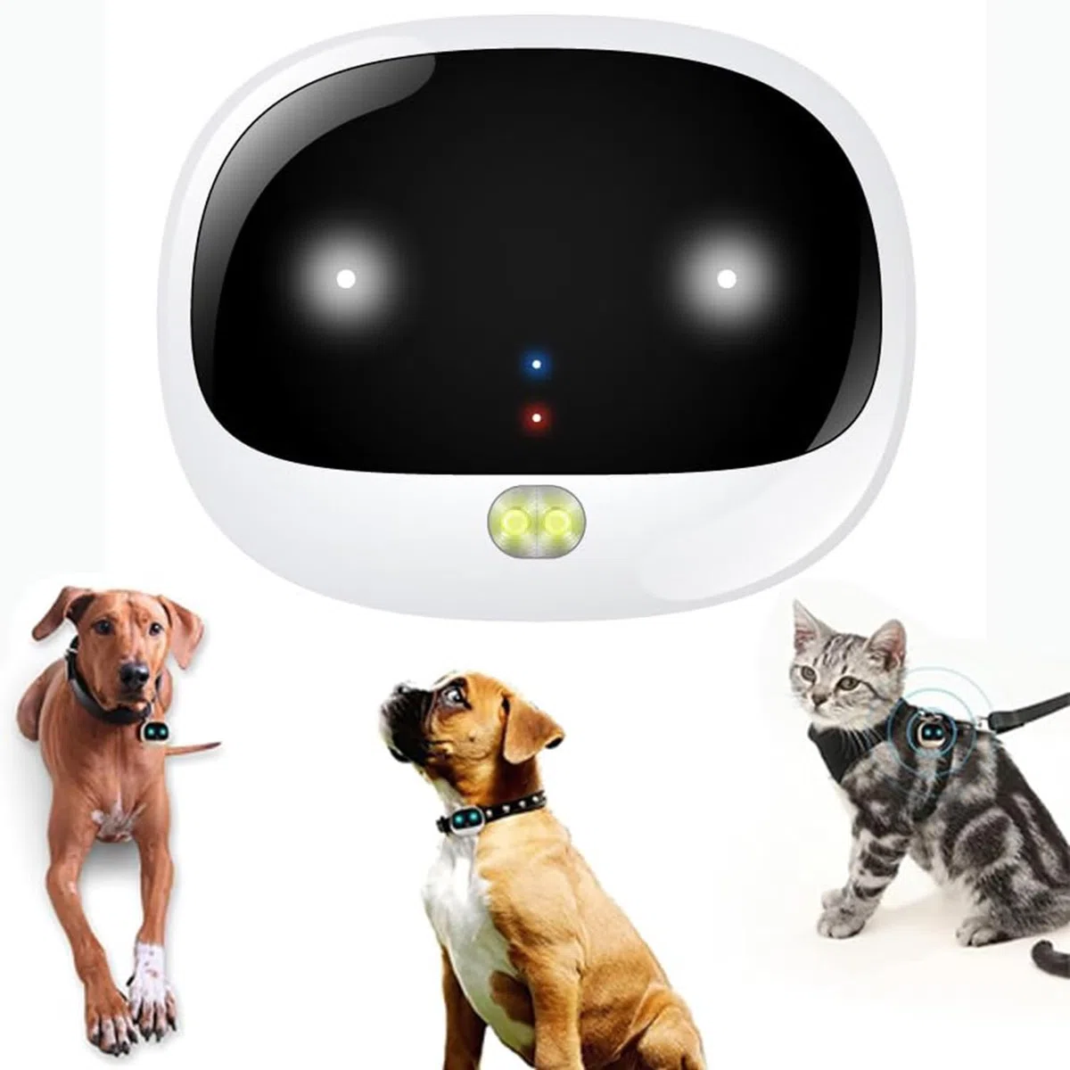 Rastreador De Mascotas 4G, Collar Rastreador For Perros,Localizador De Mascotas Inalámbrico Con GPS Recargable,3 Modos De Rastreo,impermeable IP67,Buscador De Rastreo En Tiempo Real For Perros Y Gatos