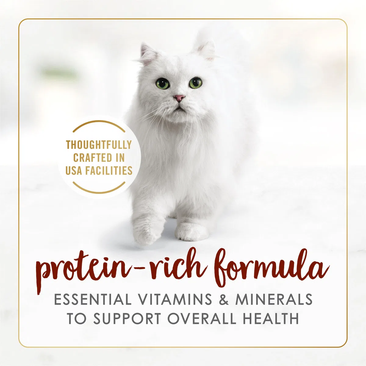 Purina Fancy Feast Comida húmeda para Gatos Adultos