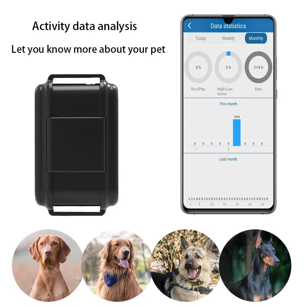 GPS para collar de perros 4G, rastreador de actividad en tiempo real, satélite para collar de gato y perro - Impermeable - Localizador con aplicación gratuita