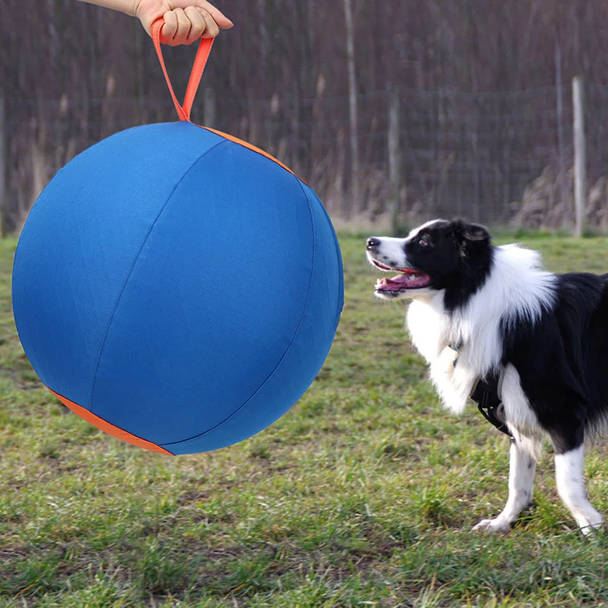 Pelota de Pastoreo para Perros Grandes Mordedor inflable para cachorros | Juguete de ejercicio para cachorros para Jardín Finca Parque Amantes de Mascotas Entrenadores Piso Oficina Salón Dormitori