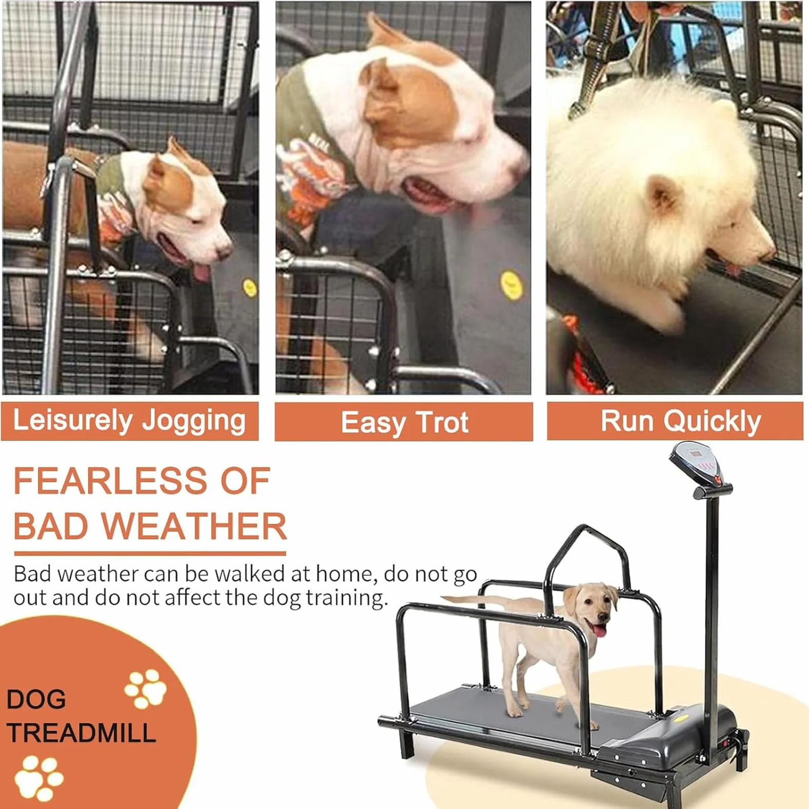 Cinta de correr para perros de interior con pantalla LCD, máquina de correr silenciosa para perros pequeños y medianos, ejercicio de fitness