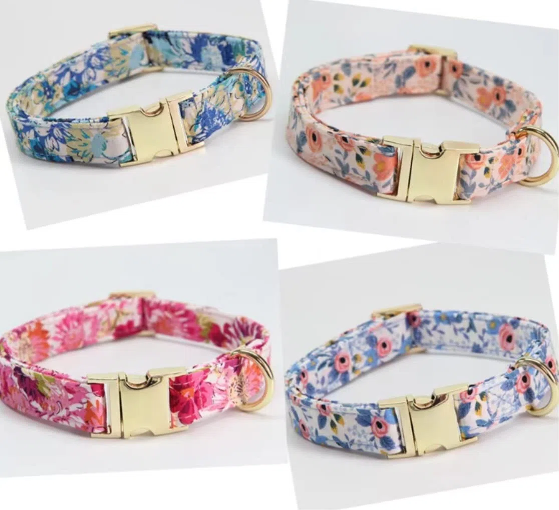 Correa Perro Correr Collar De Perro Nailon, Correa, Arnés, Bolsa para Caca, Conjunto Collares Impresos Ajustables, Arneses para Perros Antideslizantes Reforzada(A,19-28cm)