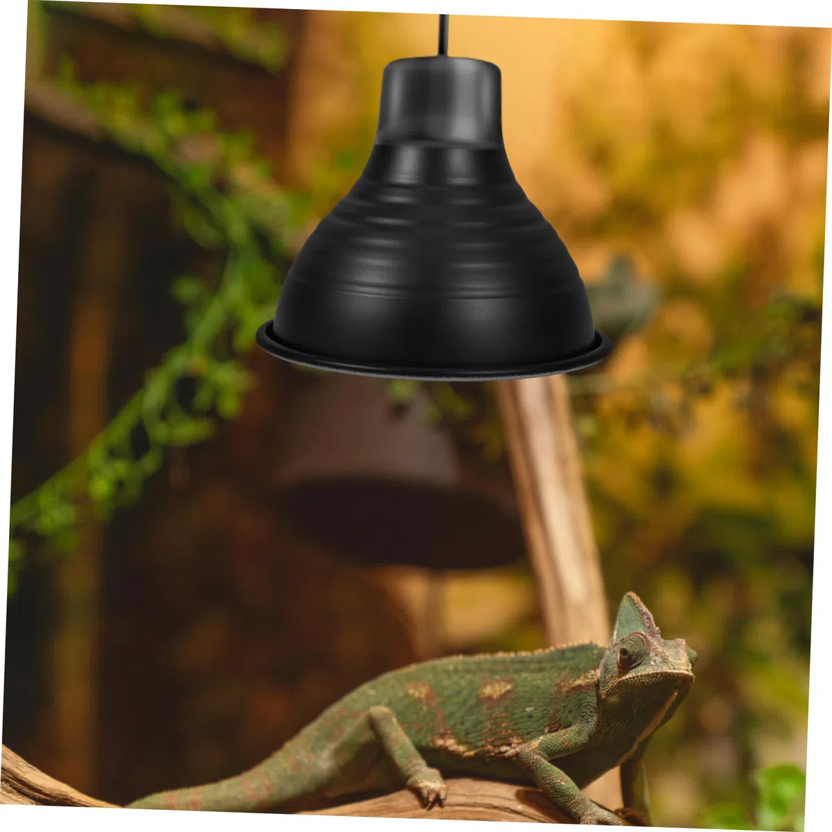 Ciieeo 5 Piezas luminarias para Reptiles Linterna LED Recargable luz de Calor para Reptiles Calentador Reptiles Accesorios de iluminación para Reptiles Bombillas Pantalla de Reptil Black