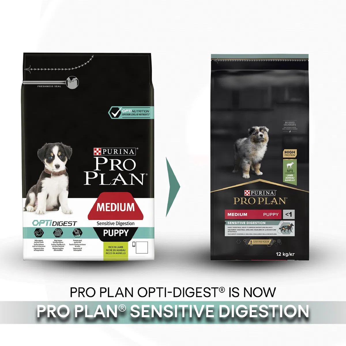Pro Plan Purina Comida Seco para Cachorro Mediano con Digestión Sensible con Optidigest, Sabor Cordero - 3 Kg (Paquete de 2)