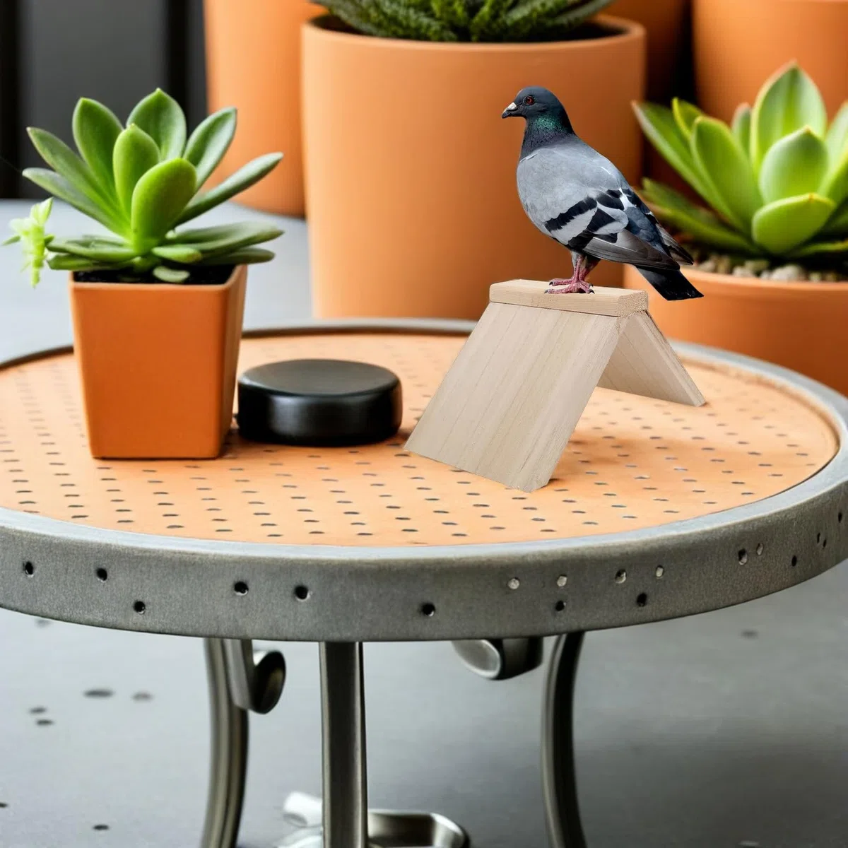 SUPVOX 6 Soportes para Palomas de Madera Maciza, Perchas para Pájaros Pequeñas, Plataforma Estable para Palomar, Accesorio para Jaulas, Soporte Higiénico para Aves, Uso Interior