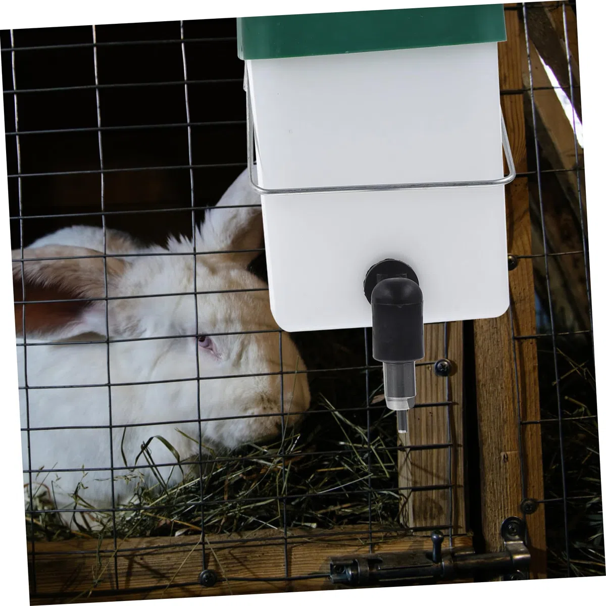 POPETPOP 2 Unids Conejo Waterer Botherer Conejito Automático Botella de Agua Fuente Dispensador Caja de Agua Alimentador de Agua para Peque?a Botella de Agua Animal