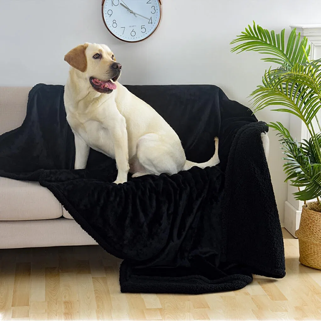 Manta suave y cómoda para mascotas, para perros y gatos, varios tamaños disponibles, manta impermeable para perros, manta para Gato, Café XL