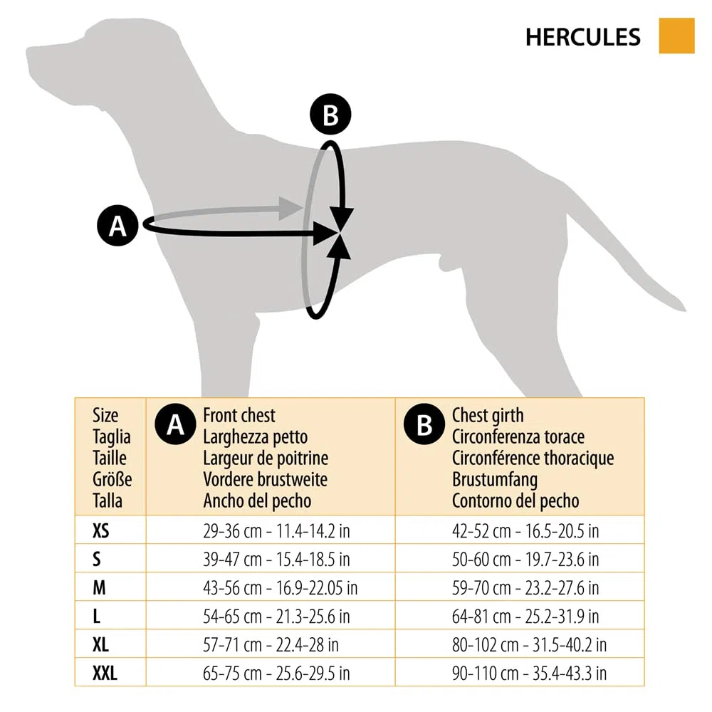 Ferplast Arnés para Perros Hercules XXL, Acolchado, Resistente, Anti-rasguños, Visible en la Oscuridad, con Asa