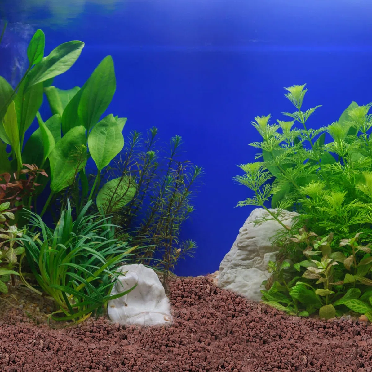 Happyyami 5 Bolsas de Piedra Natural Marrón para Ornamento de Vegetales y Acuarios, Alta Dureza y Apta para Peces, Adecuado como Relleno para Jarrones y Césped
