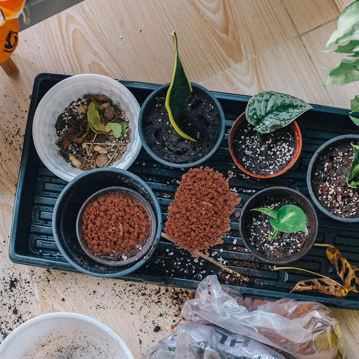 Happyyami 5 Bolsas de Piedra Natural Marrón para Ornamento de Vegetales y Acuarios, Alta Dureza y Apta para Peces, Adecuado como Relleno para Jarrones y Césped
