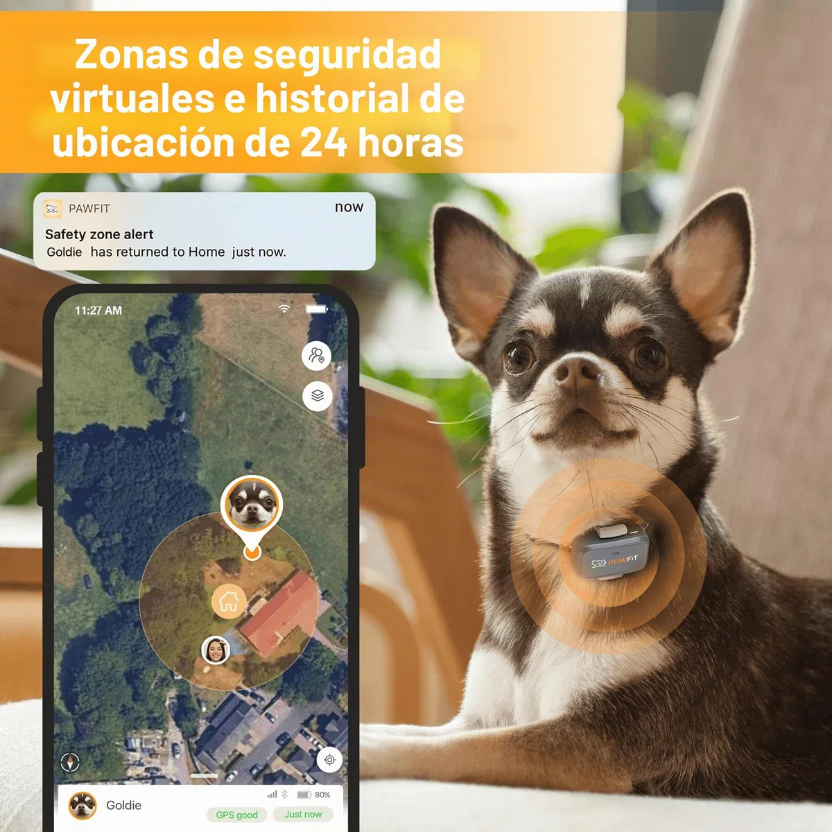 Pawfit Rastreador GPS Lite for Dogs 4g | Monitoreo en tiempo real | Seguimiento de actividad | Historial de ubicaciones | Rango ilimitado | Collar de seguridad incluido|Onyx negro