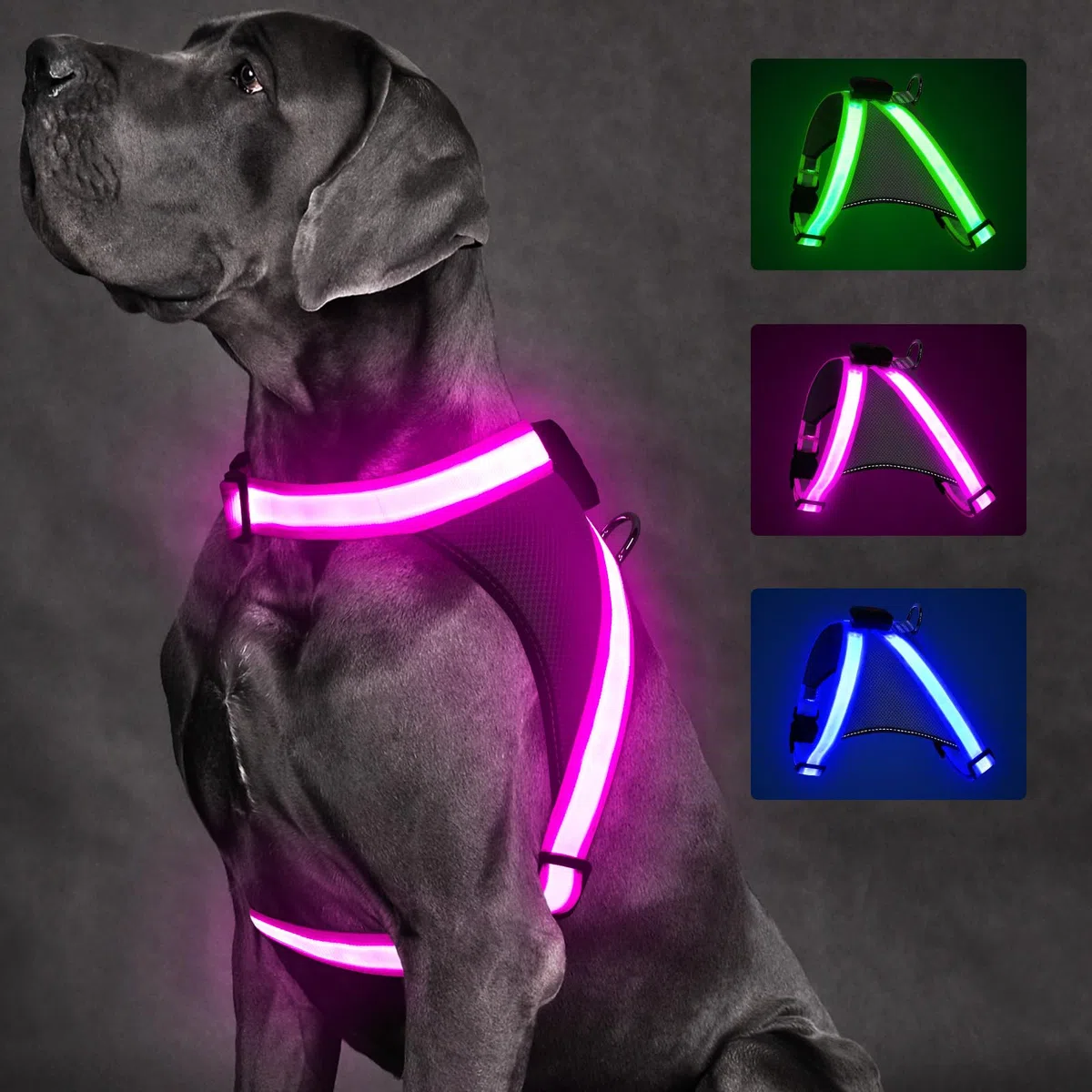 ChalkLit Arnés iluminado para perro, arnés LED sin tirones que brilla en la oscuridad para caminar por la noche, chaleco de seguridad iluminado recargable por USB para perros medianos y grandes, malla