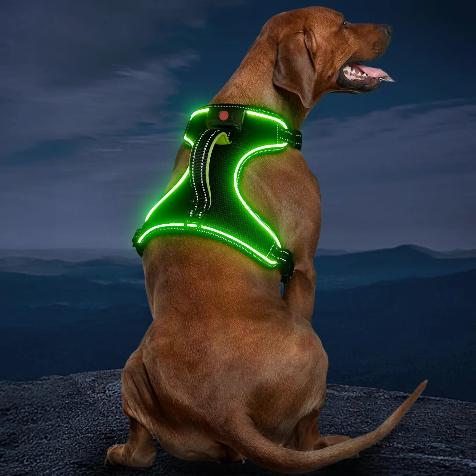 Arnés iluminado para perro, sin tirones, con luz LED, con asa, recargable, para perros pequeños, medianos, grandes y extragrandes, sin tirones, arnés ajustable de 4 puntos