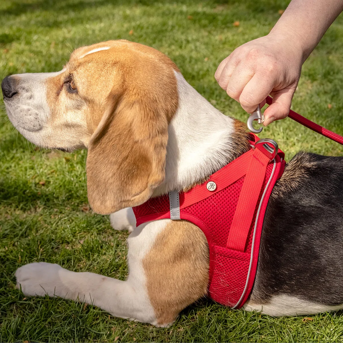 Magnetic Vest Harness Air-Mesh V2 Red 2XS