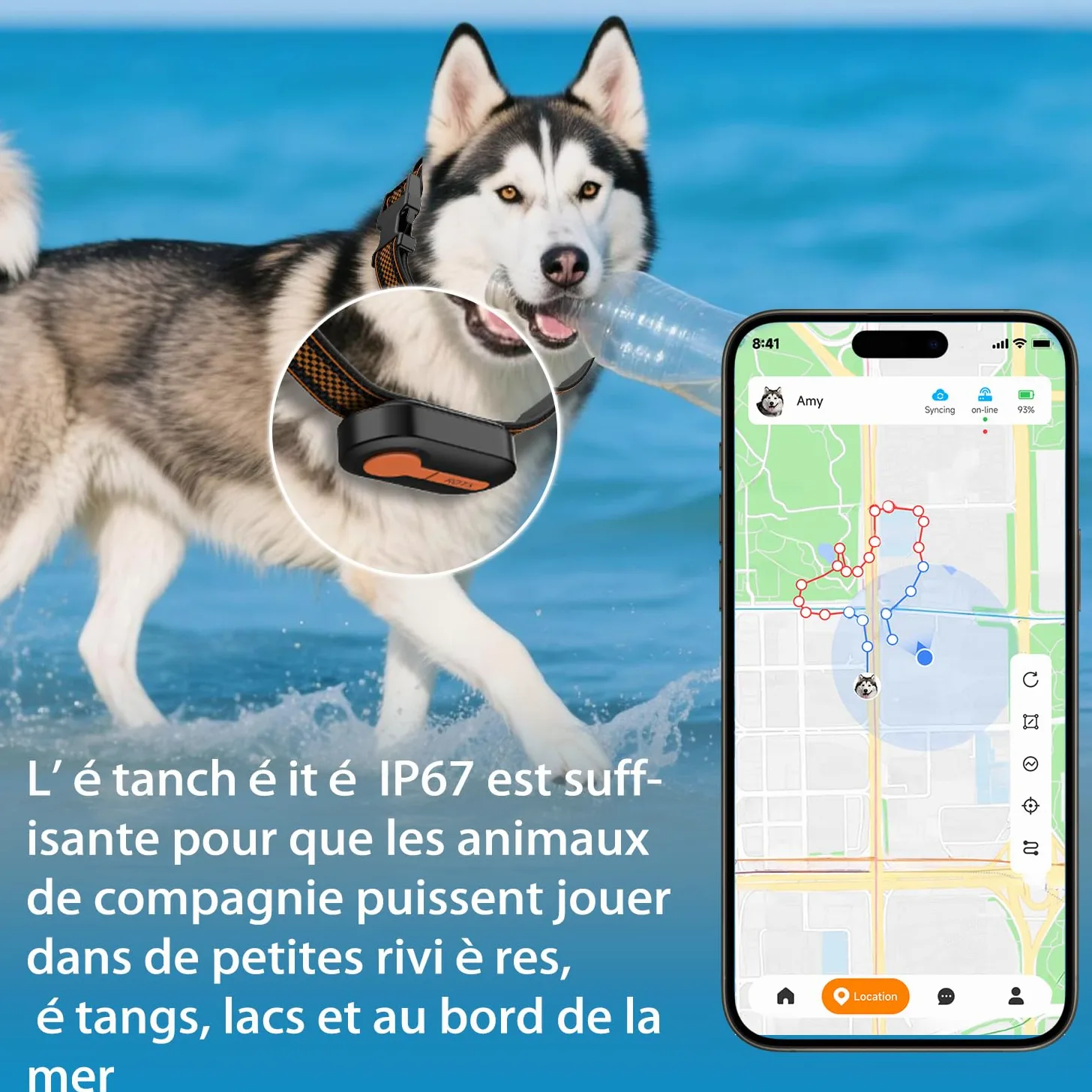 ROTX Rastreador GPS para perros, alerta en tiempo real, ubicación de valla virtual para mascotas de más de 11 libras, collar de perro y gato, accesorio de suscripción de color aleatorio, resistente al