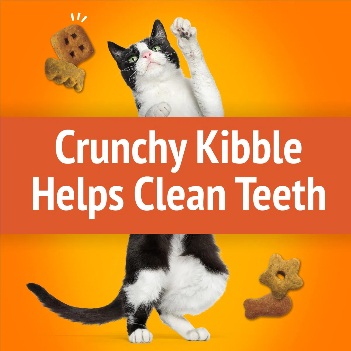 Purina Friskies Party Mix Favorites, Original Crunch Flavor, 20-Ounce Canister, Pack of 1