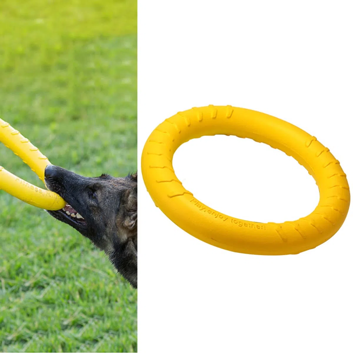 Beavorty 2 Juguetes Masticables para Perros Seguros para La Salud De Tu Mascota Juguete De Dentición Naranja para Mascotas.