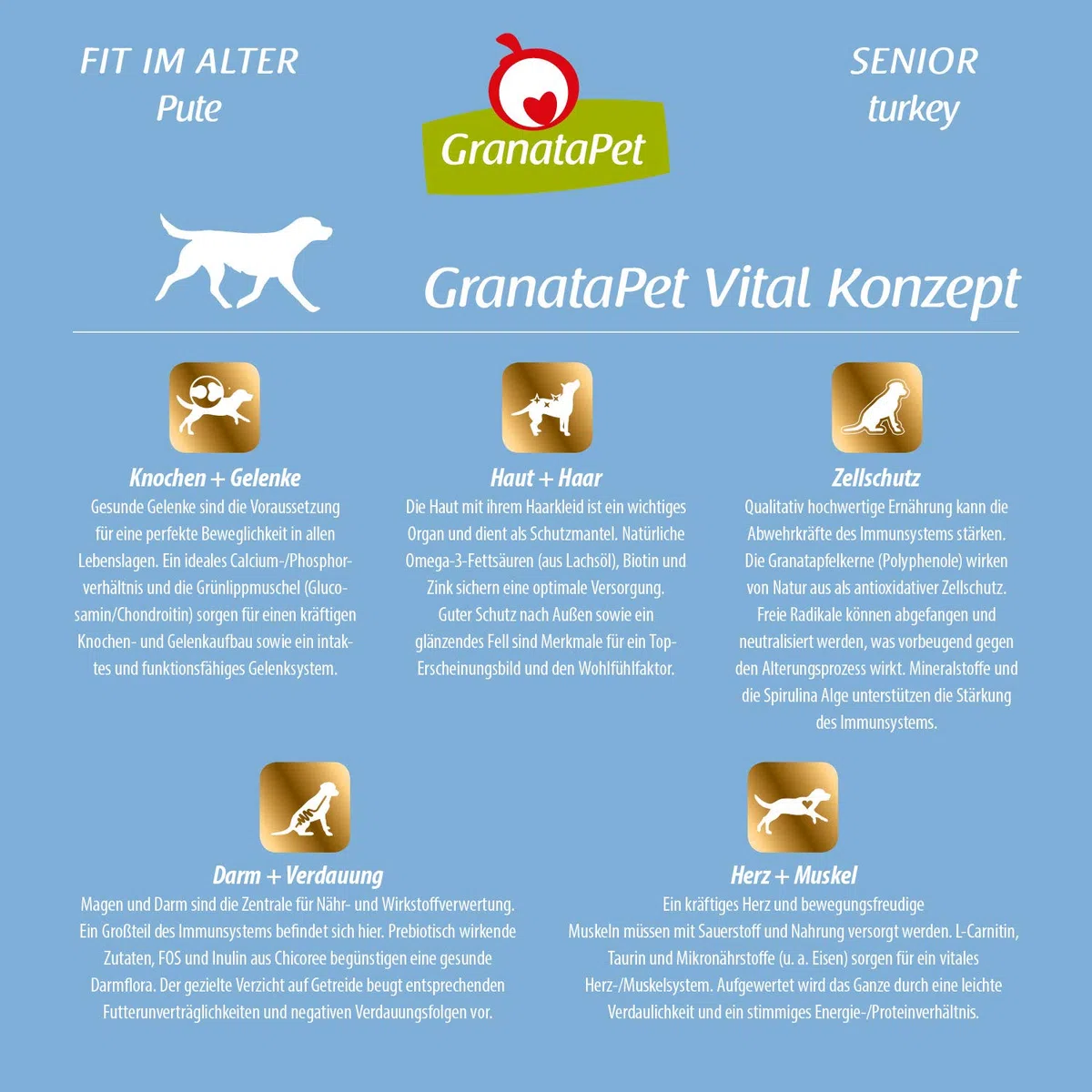 GranataPet Comida Favorita de Pavo Senior, Comida Seca para Perros, Comida para Perros sin Cereales y sin azúcares, pienso Completo, 10 kg | Alimento completo, sin cereales, sin azúcares añadidos, aceite de salmón y mejillón de labios verdes, fabricado en