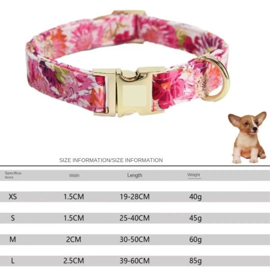 Correa Perro Correr Collar de Correa para Mascotas para, Perro Suave, Conjunto y Reflectante, Ajustable Antideslizantes Reforzada(Purple,19-28cm)