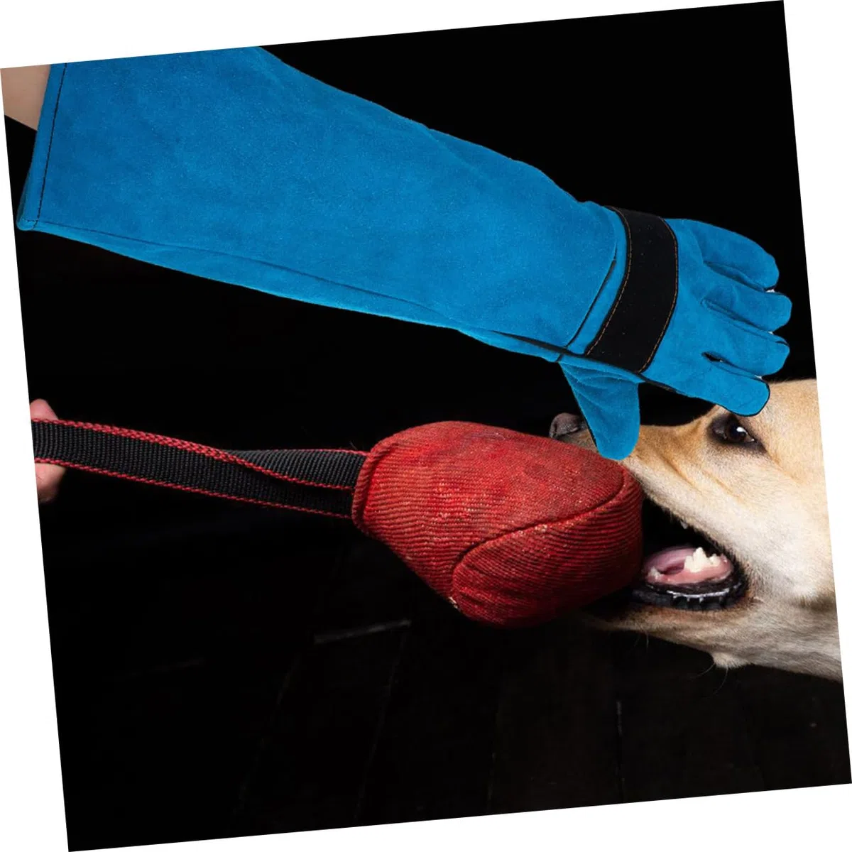 Toddmomy Guantes para Manipulación de Mascotas Diseño Multifuncional